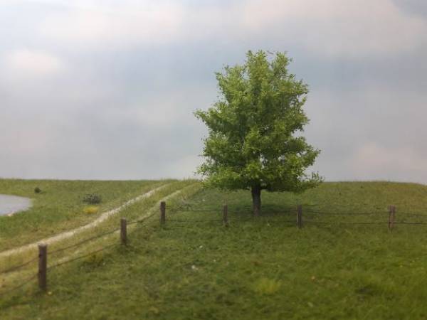 Espe Profiline, Frühling H0